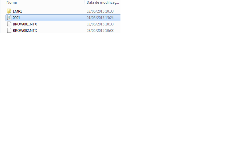 NOME CORRETO DO ARQUIVO: "0001.PRN"